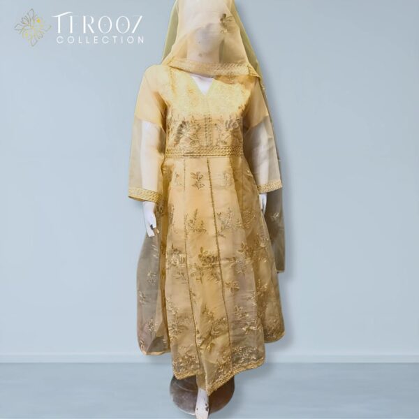 Elegant Golden Embroidered Formal Dress - Premium Party Wear Outfit