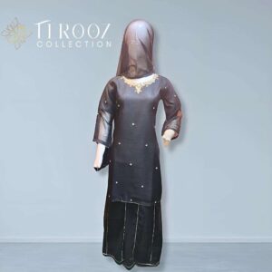 Buy Elegant Black Shafoon Fabric Dress – Latest Women’s Ethnic Wear for Party, Eid & Weddings